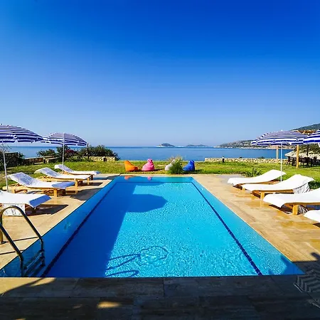فيلة Heaven كالكان